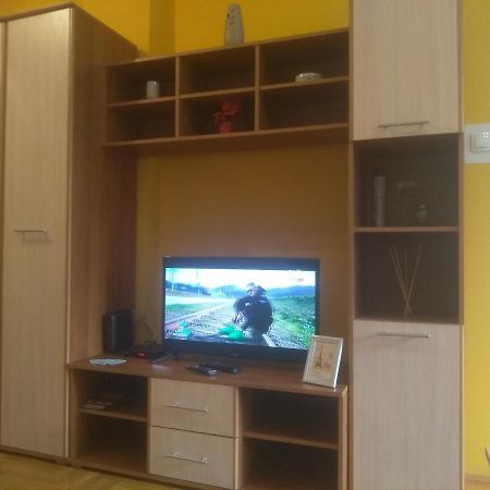 Apartman Marina Sa Garazom Novi Sad Extérieur photo