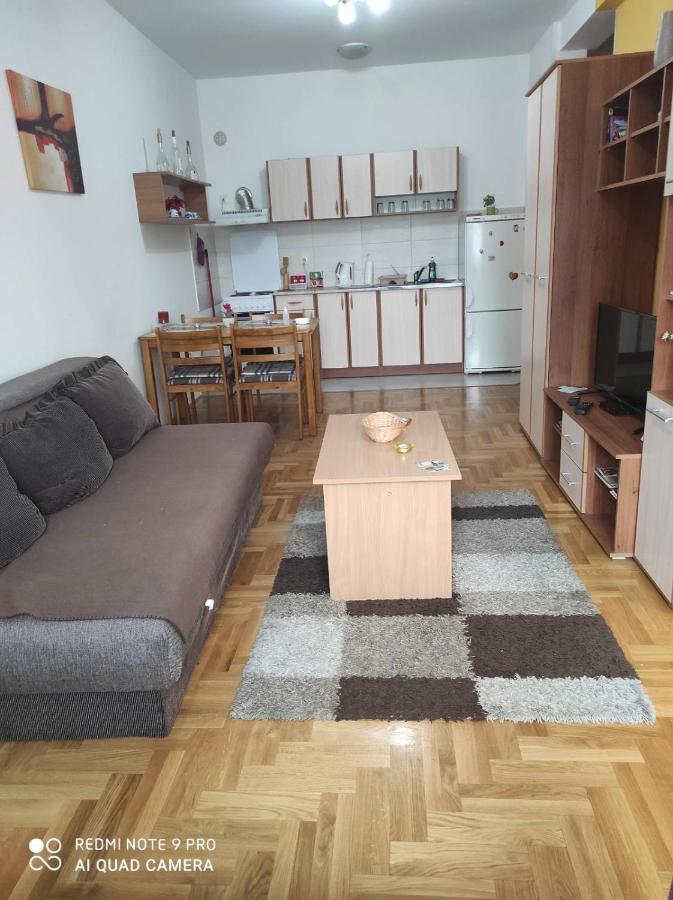 Apartman Marina Sa Garazom Novi Sad Extérieur photo