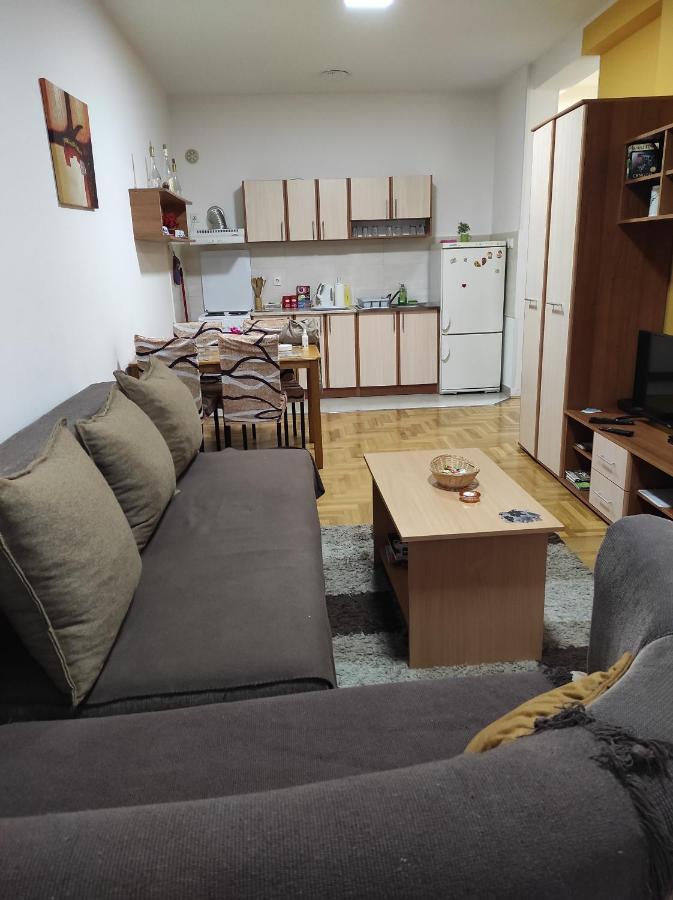 Apartman Marina Sa Garazom Novi Sad Extérieur photo