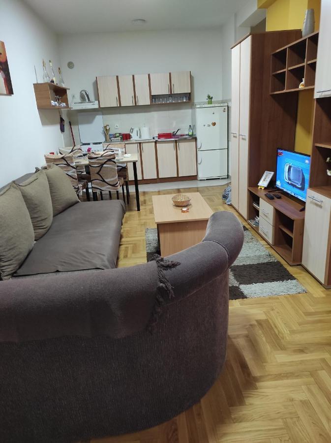 Apartman Marina Sa Garazom Novi Sad Extérieur photo