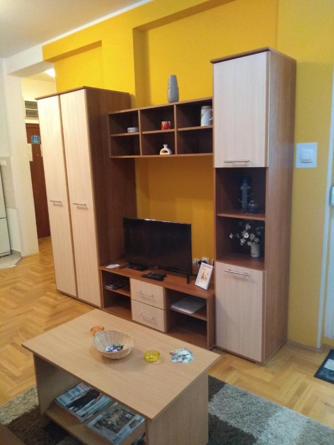 Apartman Marina Sa Garazom Novi Sad Extérieur photo